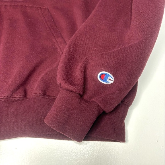 Vtg Champion Size Medium Minnesota Golden Gophers Full Zip Hooded Sweatshirt - Picture 3 of 7